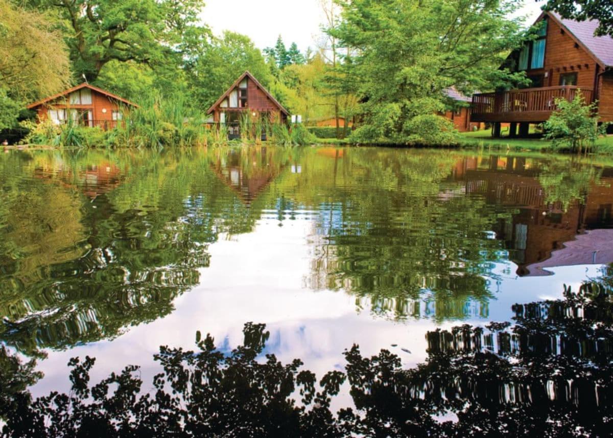 Whitemead Forest Park Otel Parkend Dış mekan fotoğraf