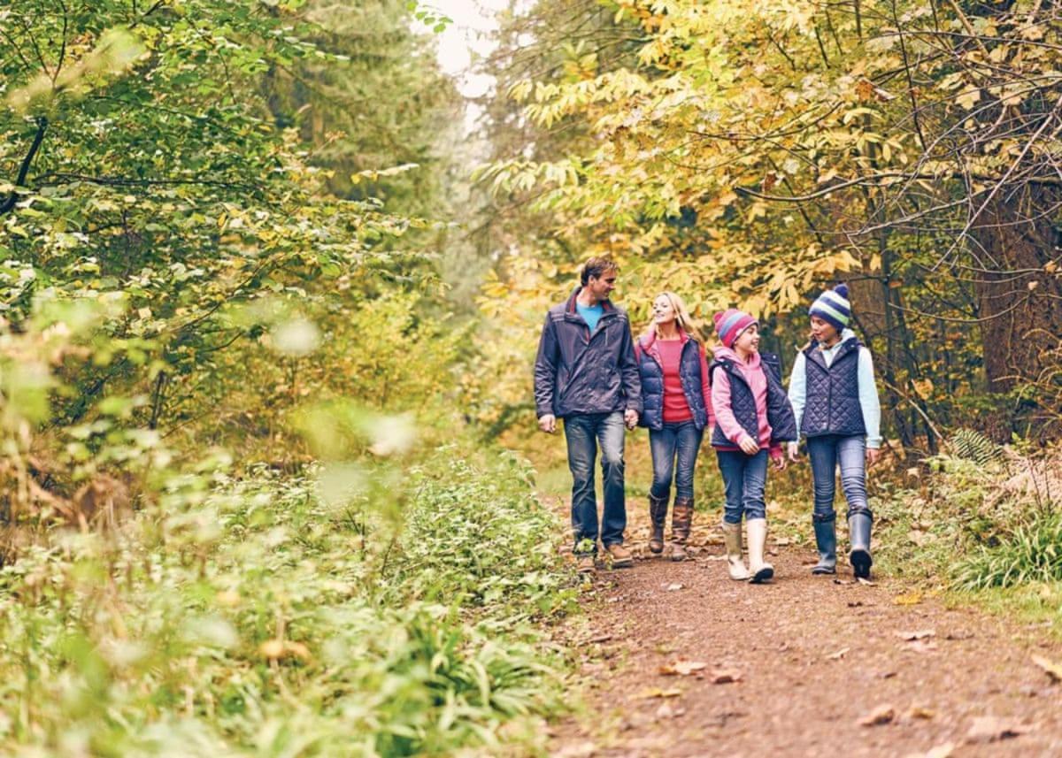 Whitemead Forest Park Otel Parkend Dış mekan fotoğraf