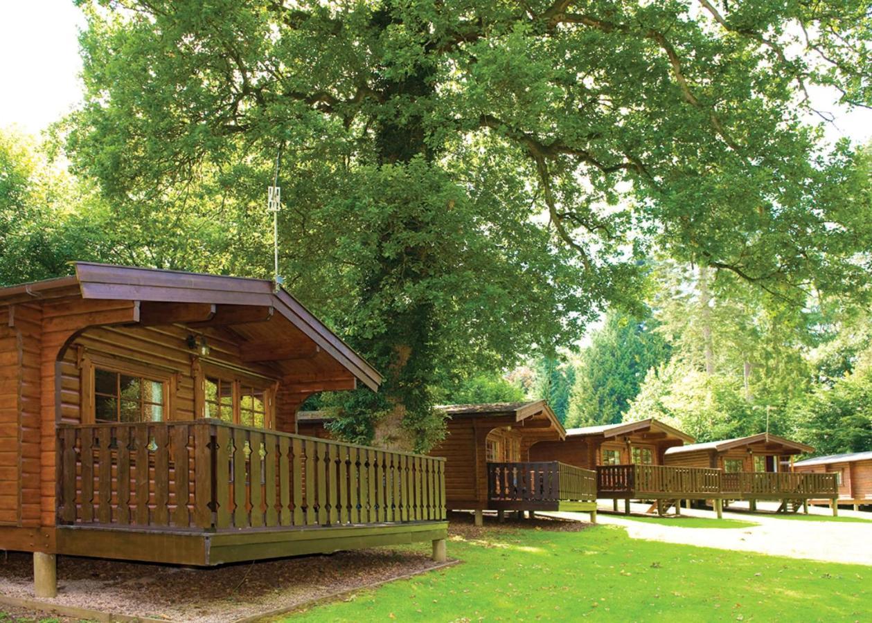 Whitemead Forest Park Otel Parkend Dış mekan fotoğraf