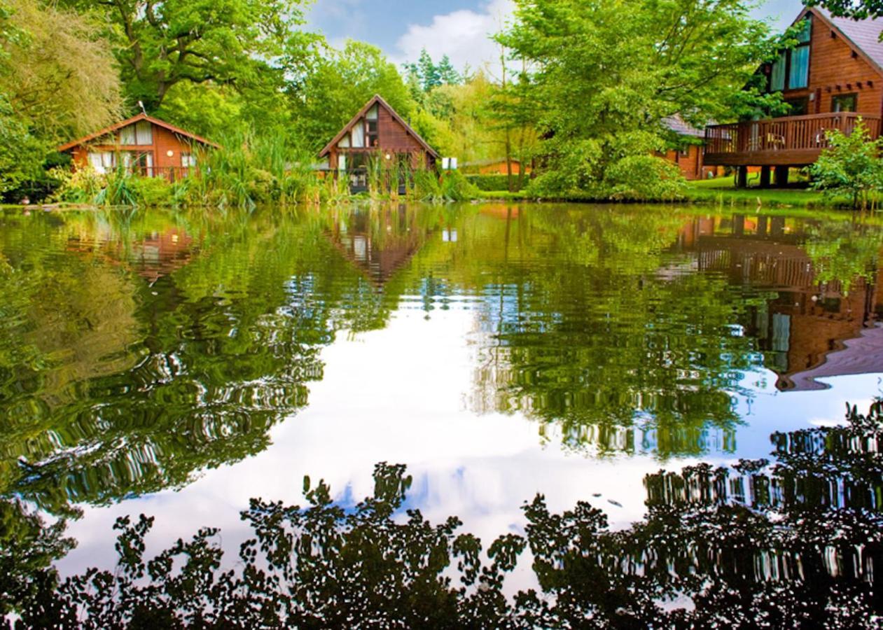 Whitemead Forest Park Otel Parkend Dış mekan fotoğraf
